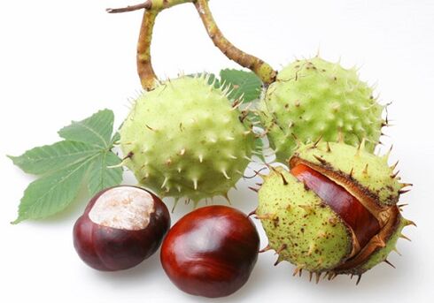 Plody kaštanu jsou bohaté na mnoho cenných vitamínů a mikroprvků prospěšných pro prostatu.